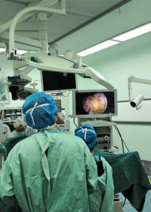 绿激光闪耀金陵古都