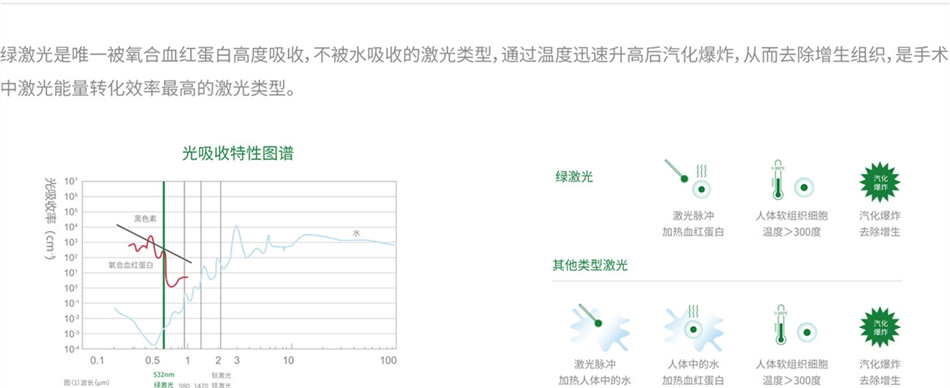 YAG/LBO绿激光手术系统
