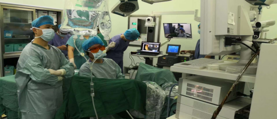 绿光耀金陵 情满汇钟山 绿光耀金陵 情满汇钟山