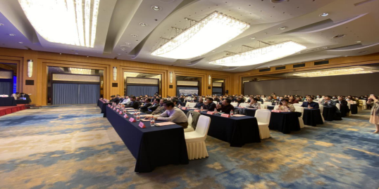 绿光耀金陵 情满汇钟山 绿光耀金陵 情满汇钟山