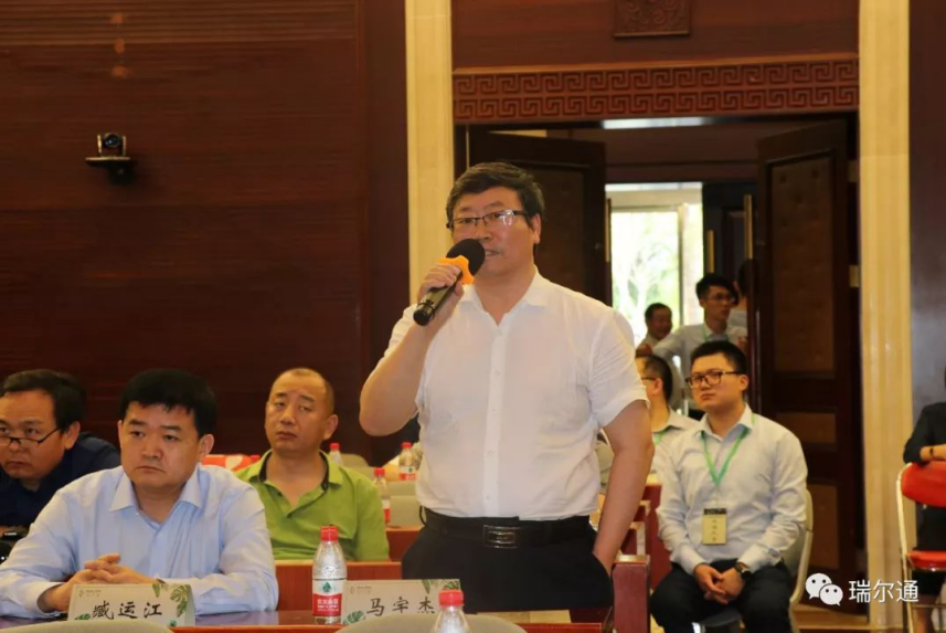 绿光再临 海棠依旧 绿光再临 海棠依旧