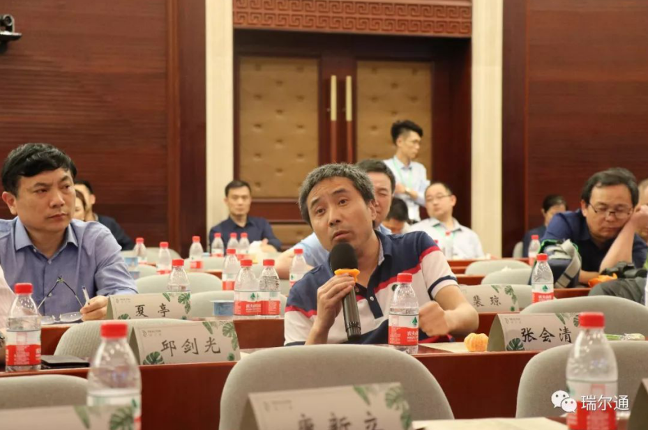 绿光再临 海棠依旧 绿光再临 海棠依旧