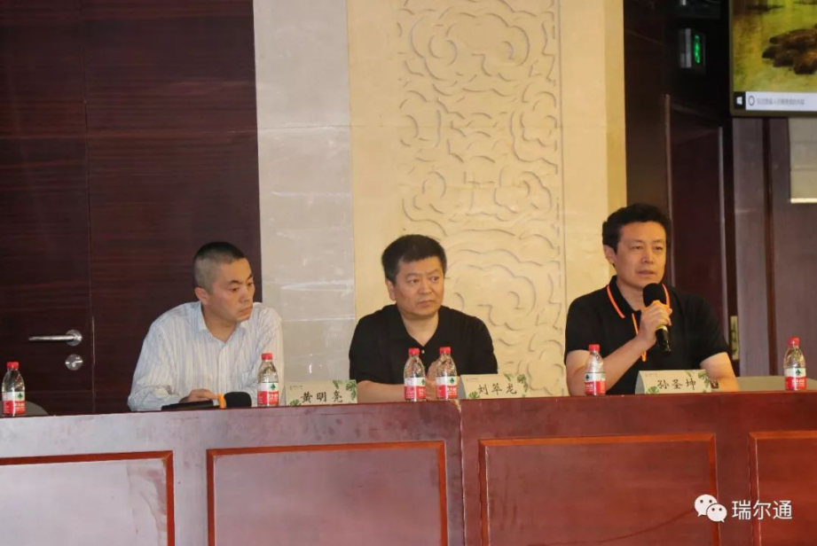 绿光再临 海棠依旧 绿光再临 海棠依旧